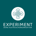 Logo Experiment